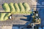 Аграрії України проти пріоритету олійних культур в експорті