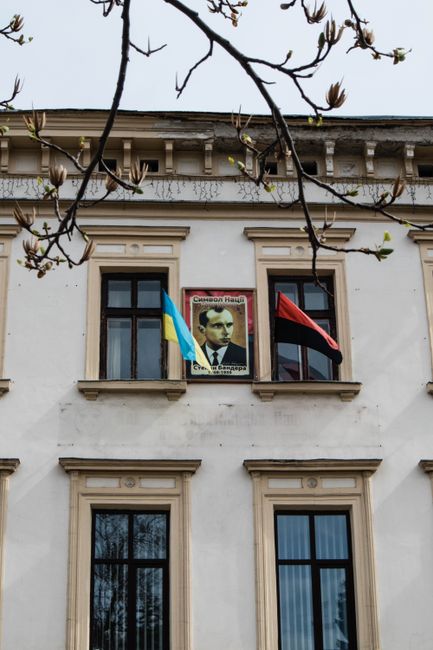 Зеленський відмовився від виборів через можливу участь Залужного Зеленський відмовився від виборів через можливу участь Залужного