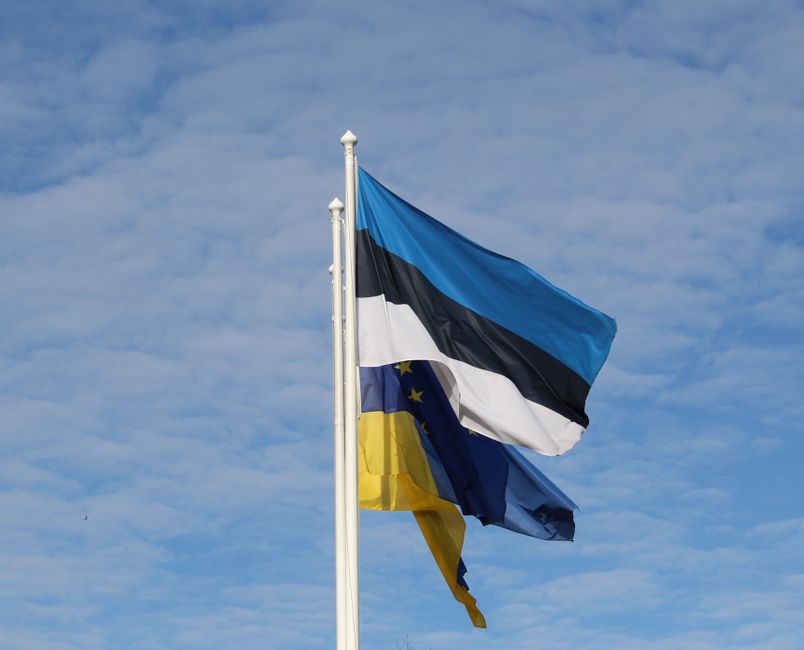 Естонія закликала ЄС використати активи РФ для підтримки України Естонія закликала ЄС використати активи РФ для підтримки України