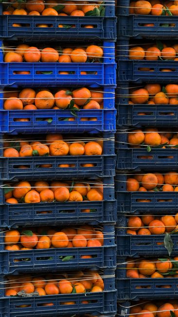 Україна звернулася до ЄС за компенсацією витрат на експорт агропродукції Україна звернулася до ЄС за компенсацією витрат на експорт агропродукції